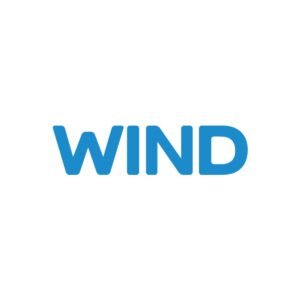 wind logo